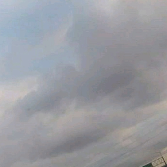 Meet your Posher, Dee - Picture 1 of 1